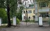 В Ярославле на территории детсада рухнуло дерево