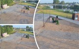 В Ярославской области осквернили зеленых медведей