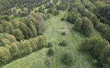 В Ярославской области запретили посещать леса