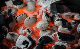Суд закрыл подпольное производство угля для шашлыков в Ярославской области