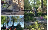 В Ярославле завершают устранение последствий урагана