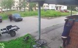 По падению кирпичей на маленького ярославца могут возбудить уголовное дело