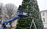 В Ярославле закупают новогоднюю елку и гирлянды