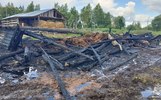 В Угличском округе из пожара спасли теленка и двух козочек
