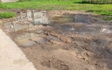 Ярославцы требуют осушить болото в благоустроенном дворе