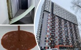 Жильцы ярославской новостройки выиграли суд у застройщика «Арены-парка»