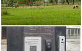 Доступ по QR и буренки вместо футболистов: подводим итоги ярославской недели