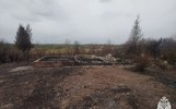 В Ярославской области поджог травы привел к возбуждению уголовного дела