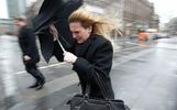 В Ярославле ждут штормовые порывы ветра