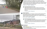 Ярославцы просят спасти от вырубки березовую аллею