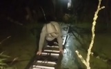 Ярославские пожарные спасли заблудившихся в лесу с помощью автолестницы