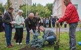 В память о погибшем на СВО бойце в Рыбинске посадили голубую ель