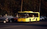 За лето в автобусах «Транспорта Ярославии» было перевезено более 8 миллионов пассажиров
