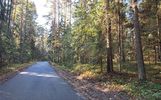 Депутаты Ярославской облдумы помогли решить вопрос с ремонтом частной дороги