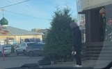 Ярославца ждет штраф за дрессировку собаки в людном месте