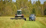 В Ярославской области увеличился валовой сбор зерновых