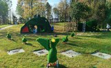 В ярославском райцентре жителей призвали не прыгать на зеленых гусях