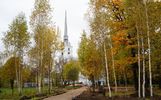 Благоустройство Петропавловского парка в Ярославле идет по графику