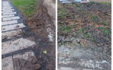 Ярославцы жалуются на разрушение благоустройства в Юбилейном парке