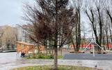 В парке 30-летия Победы в Ярославле обещают посадить новую ель