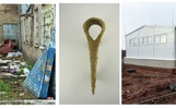 Люди-свиньи и нежеланный кэшбек: какой была неделя в Ярославской области