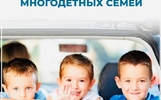 Многодетные семьи просят сохранить им бесплатную парковку в Ярославле