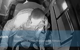 Перевозчик поделился видео попытки угона автобуса в Ярославле