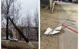 В Ярославле падают деревья и летают дорожные знаки