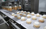 В ярославском мороженном нашли мезофильные микроорганизмы