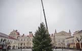 В Рыбинске установили главную новогоднюю ель