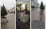 На главной улице Ярославля елки посадили в бетонные кольца
