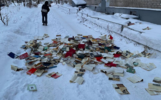 «Гимн современной тупости»: в Ярославле выбросили из окна гору книг