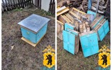 Пасечник из Татарстана украл ярославский пчелиный рой