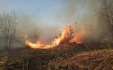 В Ярославской области сгорели 11 гектаров сухой травы