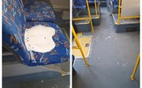 Ярославский перевозчик предлагает сдаться вандалу-пассажиру