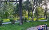 Ярославцы жалуются на опасные деревья в парке