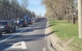 В Ярославле планируют дополнительные выделенки для общественного транспорта 
