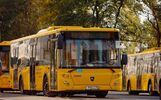 Ярославский перевозчик подвел итоги весеннего сезона