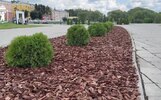 Установкой камер в парке 1000-летия Ярославля займётся московский подрядчик