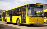 По Ярославлю в День города запустят дополнительные автобусы