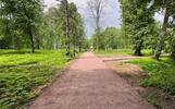 Власти Ярославля рассказали о посадках в Петропавловском парке