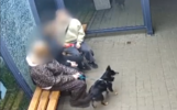 14-летний подросток разбил стекло остановки в Ярославле