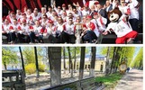 Недоступные лавочки и город «Локомотива»: первая неделя лета в Ярославле