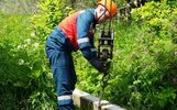 В Переславль-Залесском округе энергетики обновляют сети