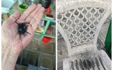 Глава округа прокомментировала черный дождь под Рыбинском