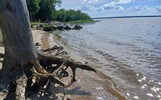 Губернаторский контроль проинспектировал места загрязнения под Рыбинском
