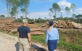 Прокуратура ликвидировала нелегальный склад древесины