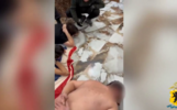 В Ярославской области осудили организатора 45-миллионного хищения никеля