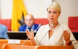 Ярославское правительство покинула замминистра