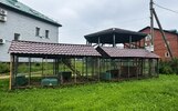 Россельхознадзор нашел неучтенную овцу и коров на ярославской экоферме